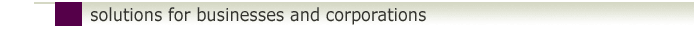 Solutions for Businesses and Corporations